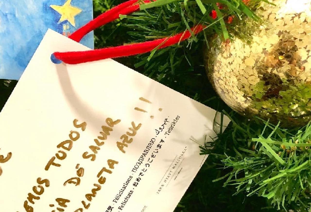 Cap Vermell Group Again Sets Up  the Charity Wishing Tree for...